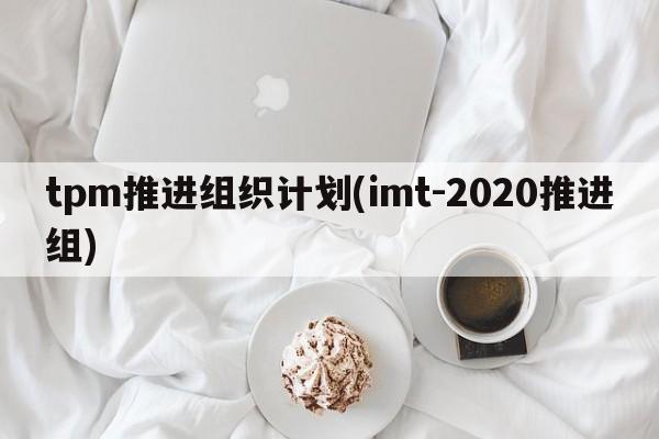 tpm推进组织计划(imt-2020推进组)