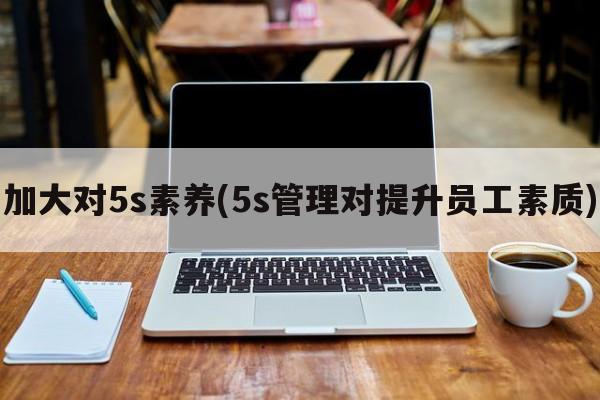 加大对5s素养(5s管理对提升员工素质)